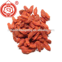 Goji fornecedor Lycium chinês secas lycium fruta sol secado goji